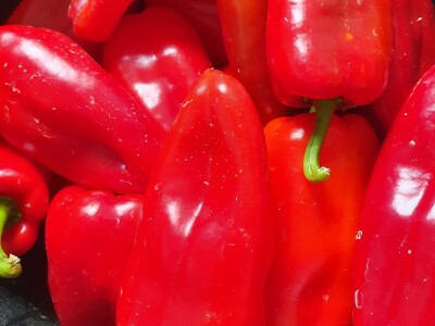 EOPG Knezić Lepa Ves Donja Stubica