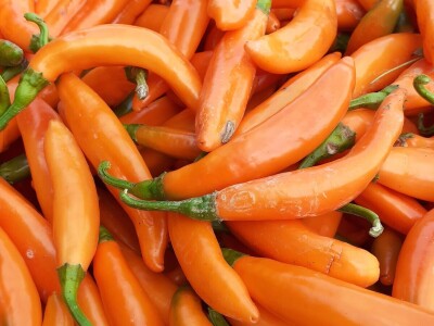 EOPG Knezić Lepa Ves Donja Stubica