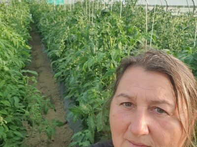 EOPG Knezić Lepa Ves Donja Stubica