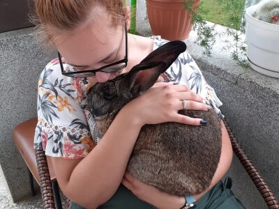 EOPG Knezić Lepa Ves Donja Stubica