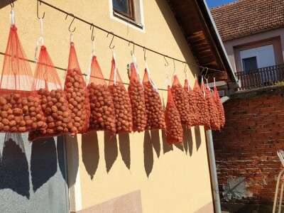 OPG Mladen Miličević