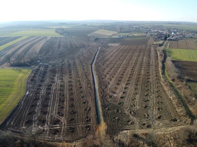 OPG Mladen Miličević