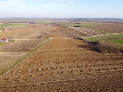 OPG Mladen Miličević