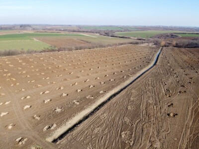 OPG Mladen Miličević