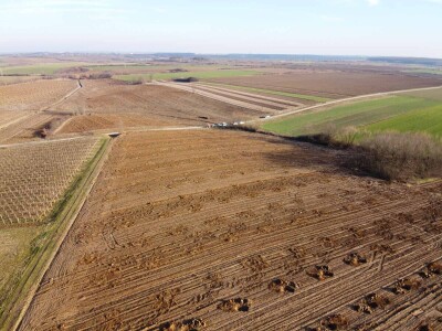 OPG Mladen Miličević