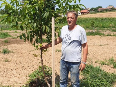 OPG Mladen Miličević