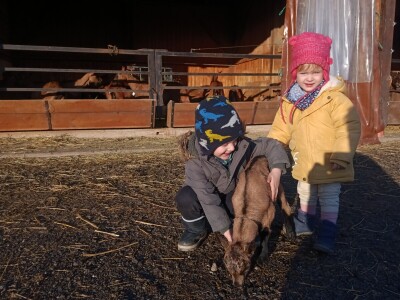 OPG Domagoja Zlatara u Goli