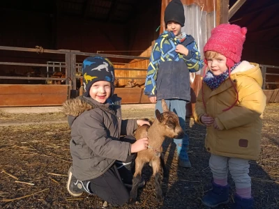 OPG Domagoja Zlatara u Goli