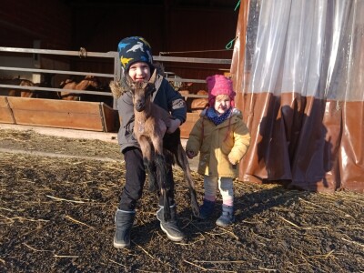 OPG Domagoja Zlatara u Goli