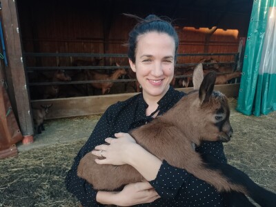 OPG Domagoja Zlatara u Goli