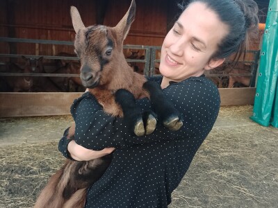 OPG Domagoja Zlatara u Goli