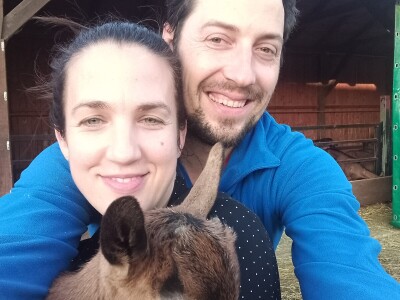 OPG Domagoja Zlatara u Goli