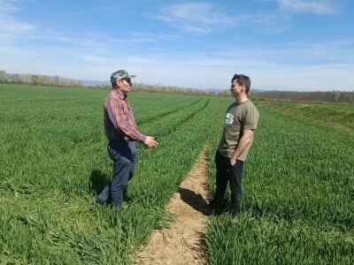 Proljetna sjetva OPG Šokić Proljetna sjetva OPG Šokić