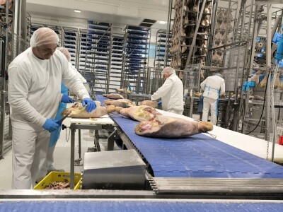 Posjet novinara Žito grupaciji