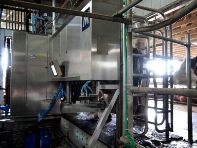 Stigla i četvrta generacija Jokića: Cijelo domaćinstvo decenijama u stočarstvu