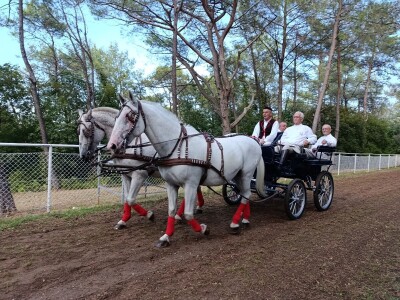 Barban - 50. Trka na prstenac