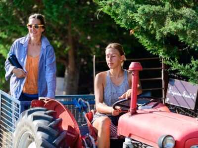 OPG Babac Šinjorina smokva