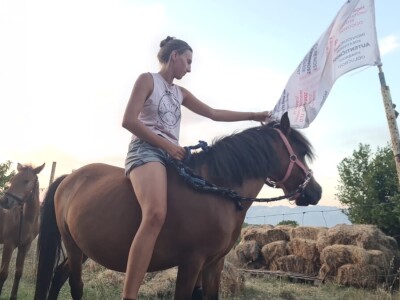 OPG Babac Šinjorina smokva