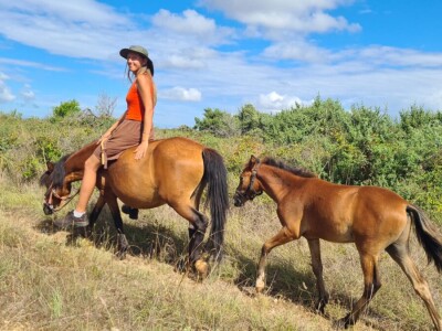 OPG Babac Šinjorina smokva
