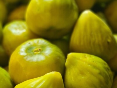 OPG Babac Šinjorina smokva