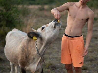 OPG Babac Šinjorina smokva