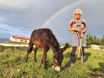 OPG Babac Šinjorina smokva