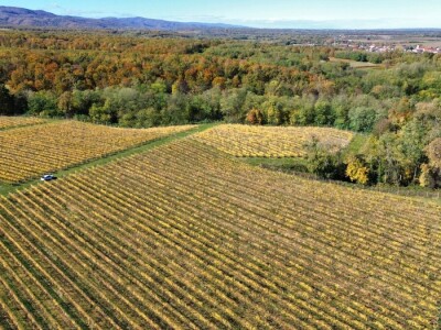 Timac Agro i Enosophia