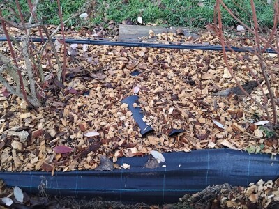 Radovi u borovnicama