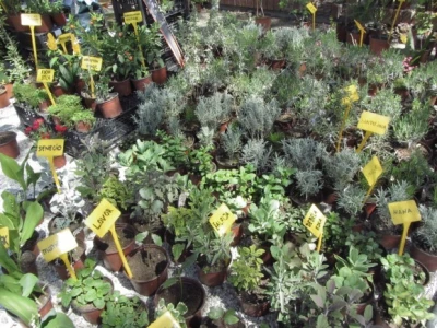 Sajam hortikulture 2015