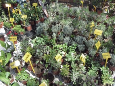 Sajam hortikulture 2015