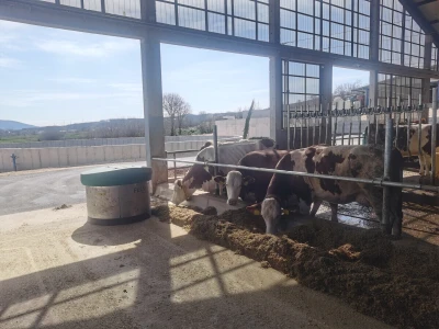 Kad roboti farmom zapivaju, kapije se širom otvaraju.