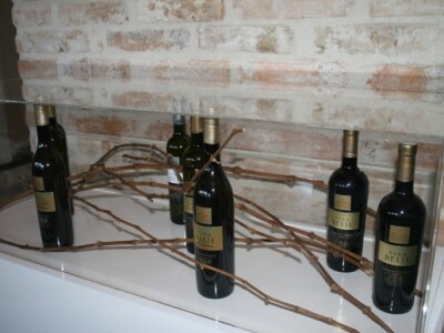 Predstavljena nova Vina Belje