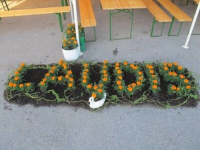 Održani Bayer Agro Dani u Agrokući d.o.o.