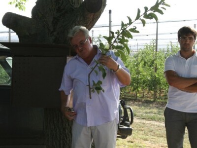 Radionica u sklopu projekta JABUKA.NET 2