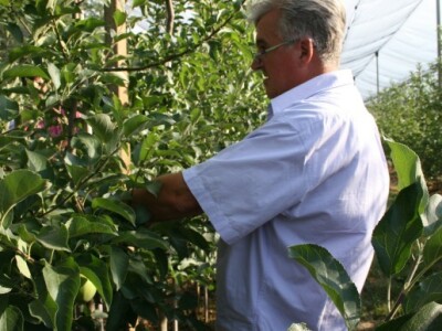 Radionica u sklopu projekta JABUKA.NET 2