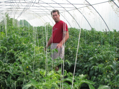 plastenik  za desetku