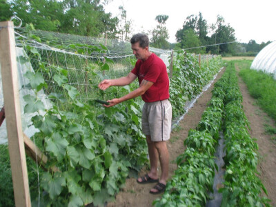 I krastavci su ponijeli