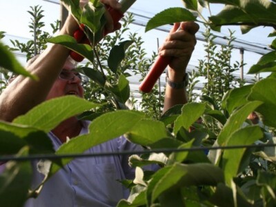 Radionica u sklopu projekta JABUKA.NET 2