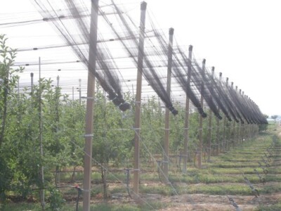 Radionica u sklopu projekta JABUKA.NET 2