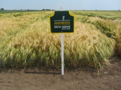 Delta Agrar - Amorosa