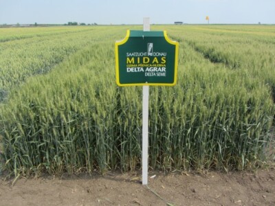 Delta Agrar - Midas