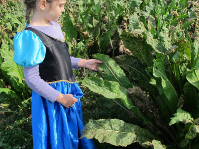 Tražite isplativu kulturu? Sadite hren! Tražite isplativu kulturu? Sadite hren!