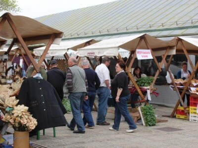 Ponuda na štandovima različitih prodavača