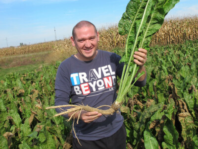 Tražite isplativu kulturu? Sadite hren! Tražite isplativu kulturu? Sadite hren!