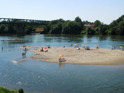 Sava
