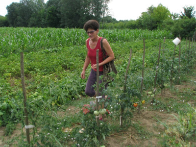 Dragica obilazi i ostalo povrće