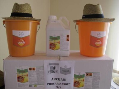 Bayer Agro Dani i Seges d.o.o.