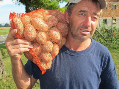 Završila sezona kiseljenja kupusa Završila sezona kiseljenja kupusa