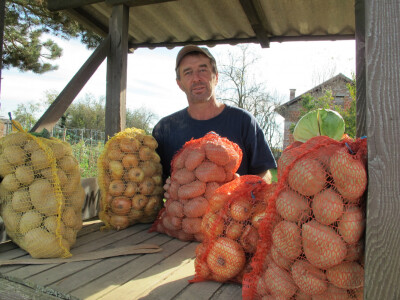 Završila sezona kiseljenja kupusa Završila sezona kiseljenja kupusa