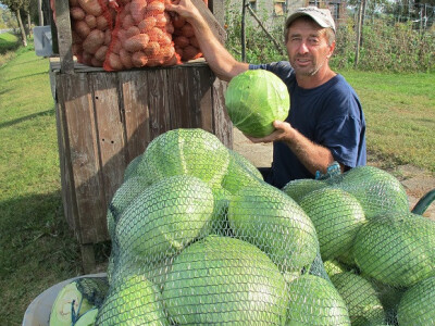 Završila sezona kiseljenja kupusa Završila sezona kiseljenja kupusa